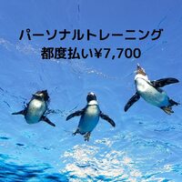 画像328