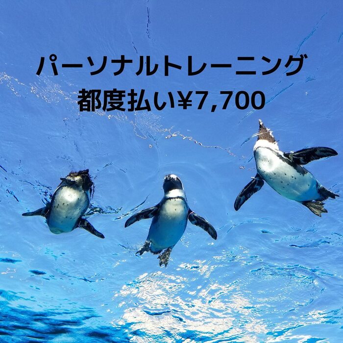 画像328