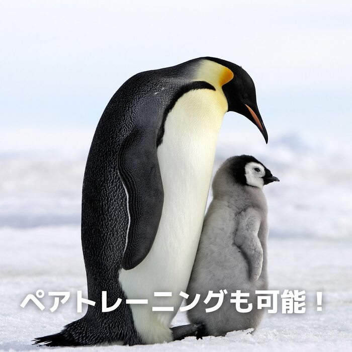 画像329