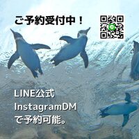画像330