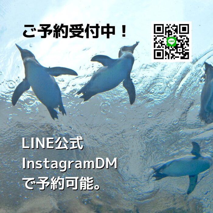 画像330