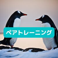 画像334
