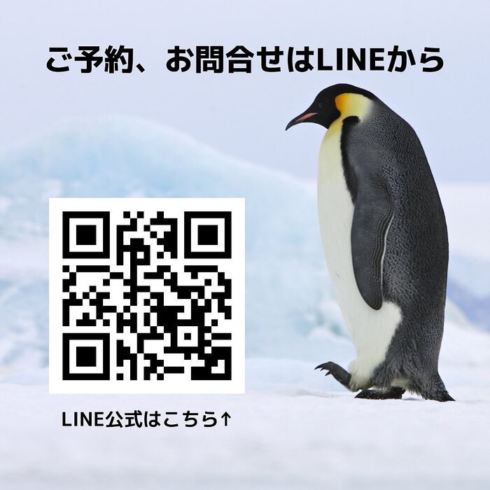 画像338