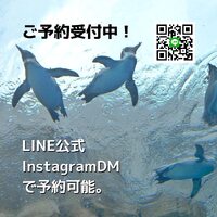 画像390