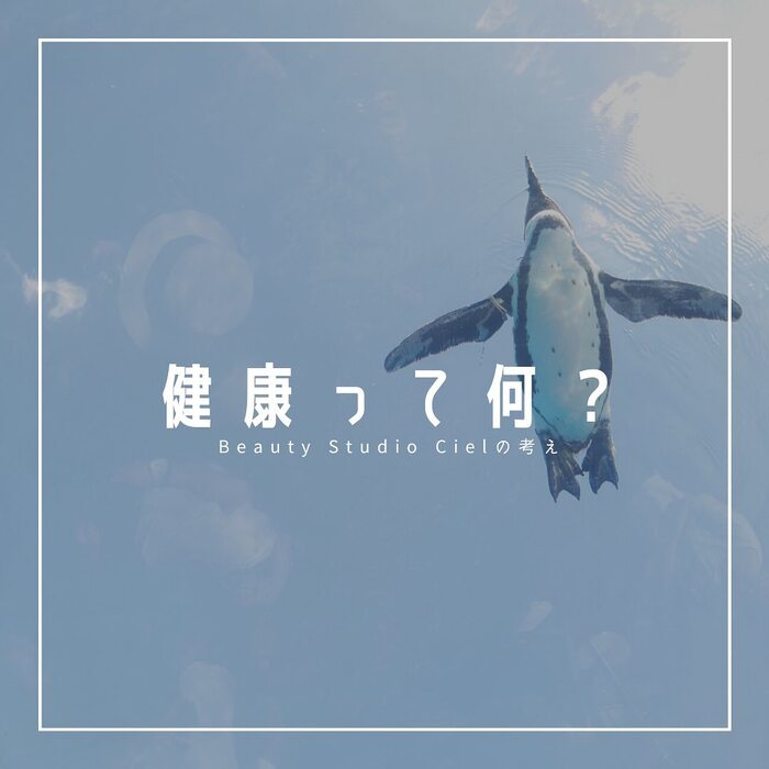 画像408
