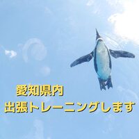 画像445