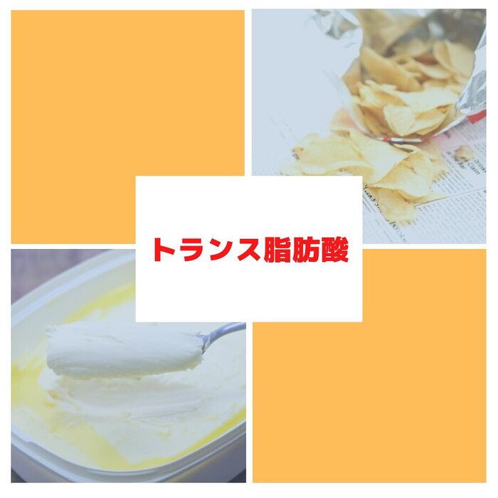 画像558