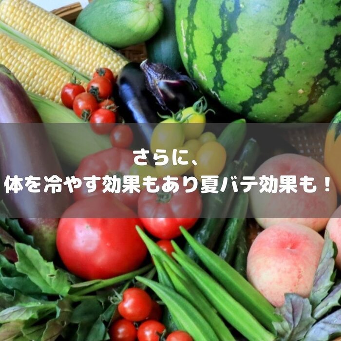 画像729