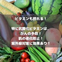 画像730