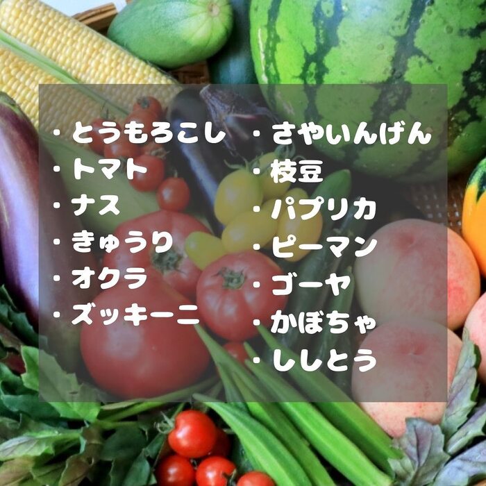 画像731