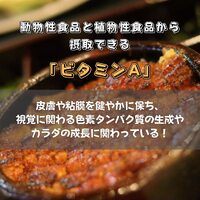 画像737