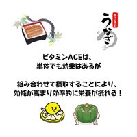 画像741