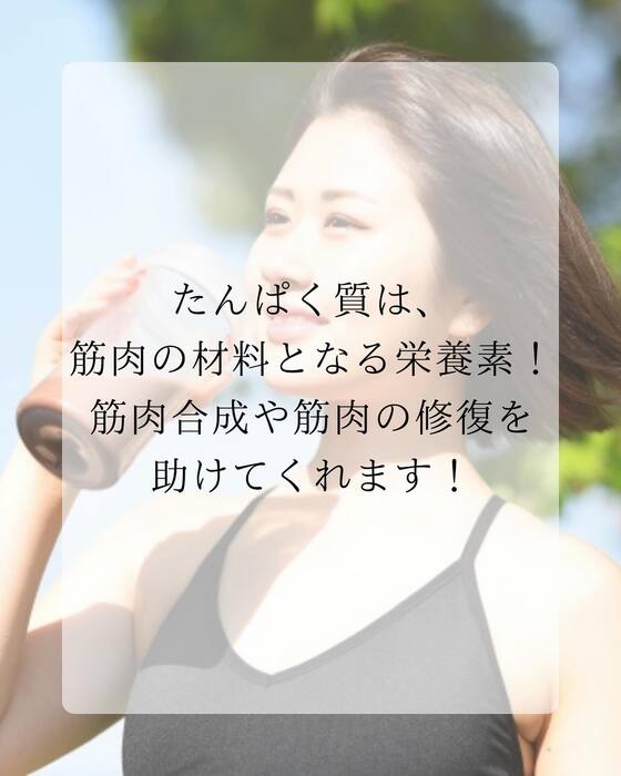 画像842